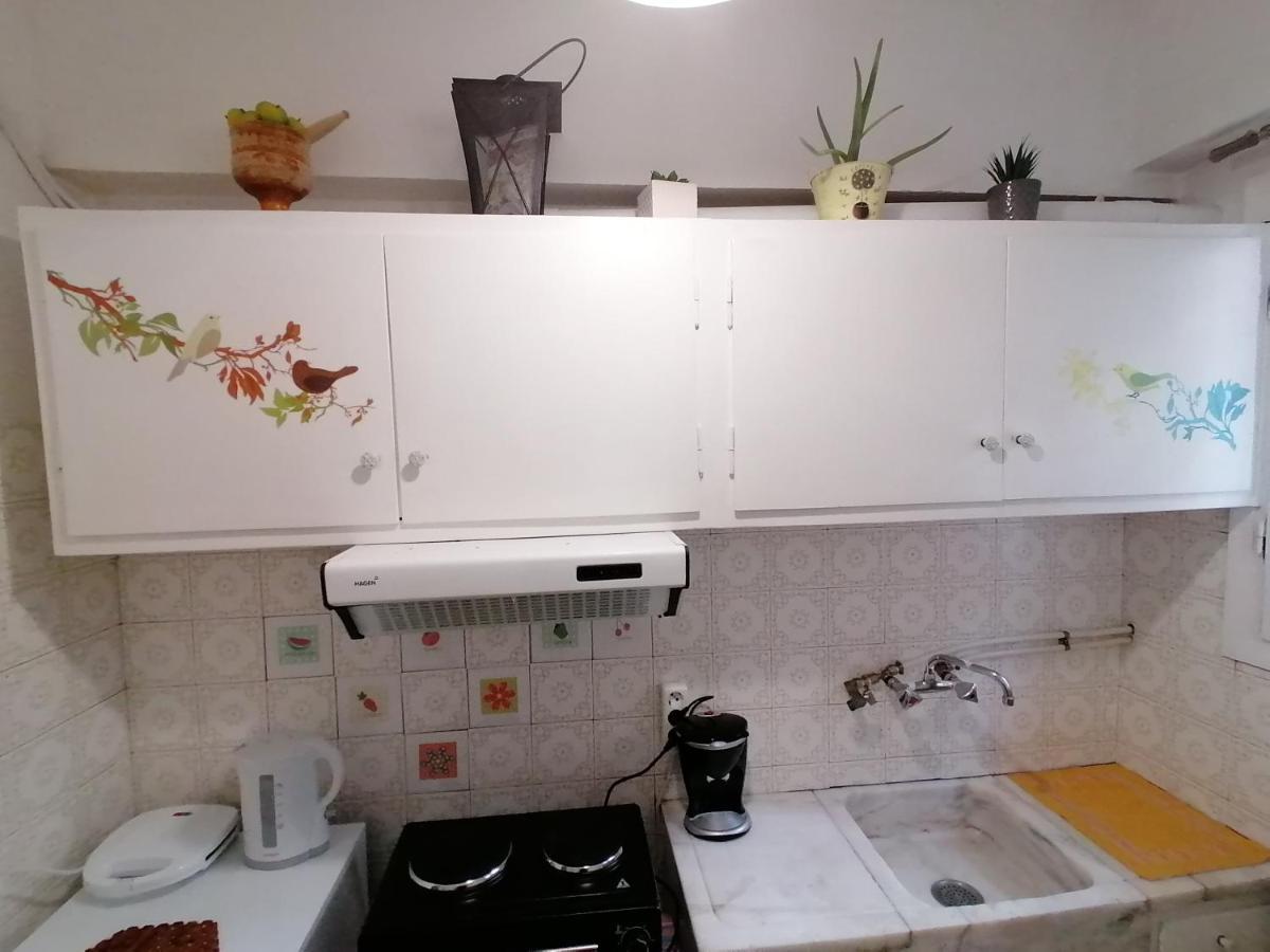 Pagrati Nest Apartment *