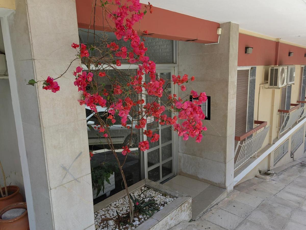 Pagrati Nest * Athens